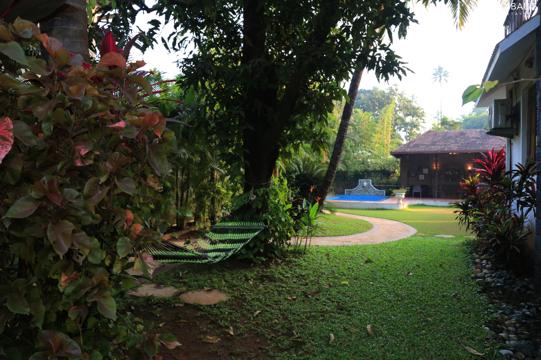 Orchid Villa